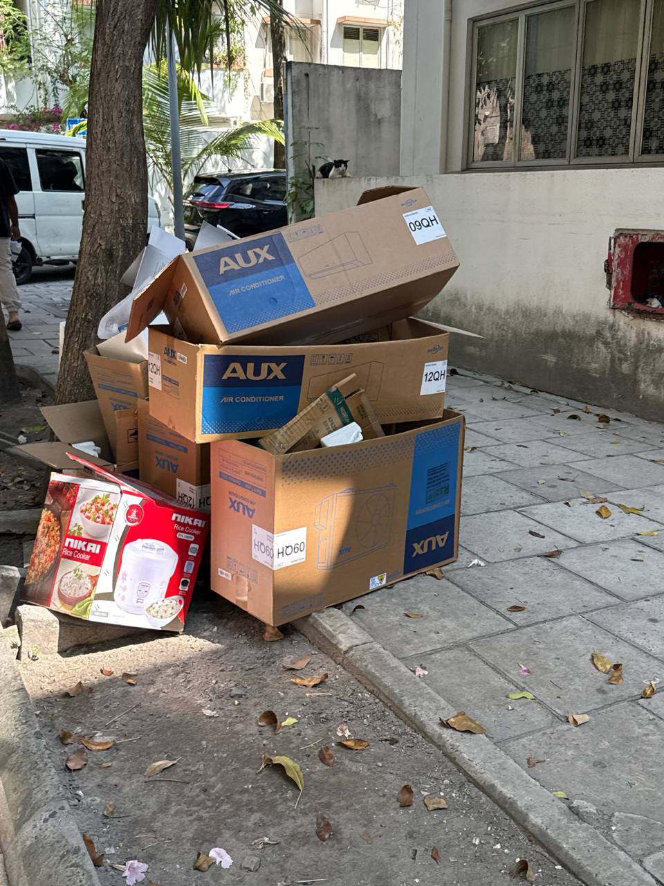 Dump