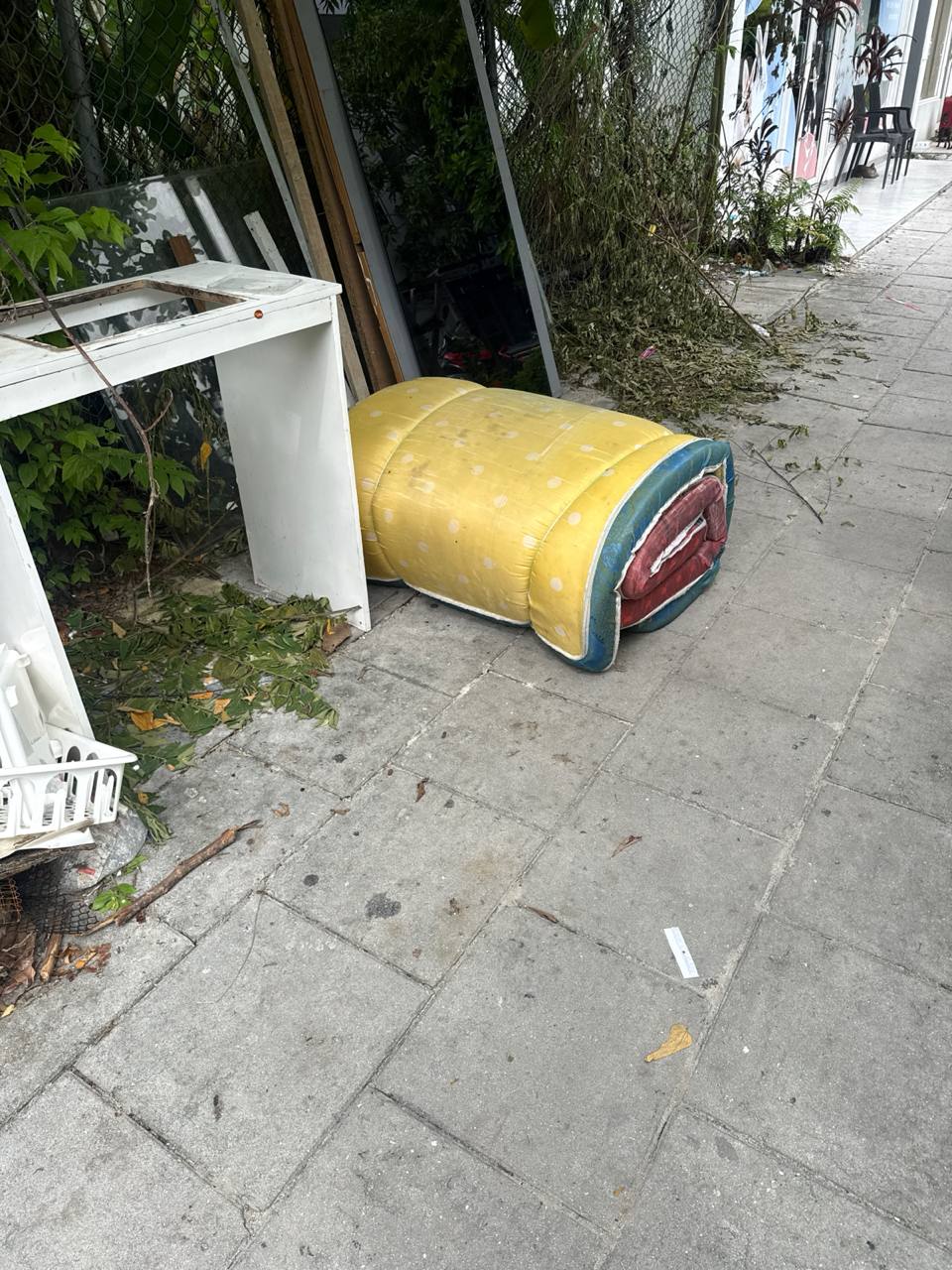 Dump