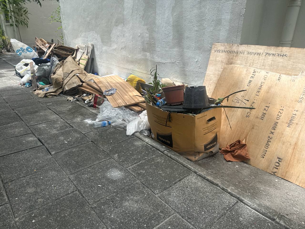 Dump