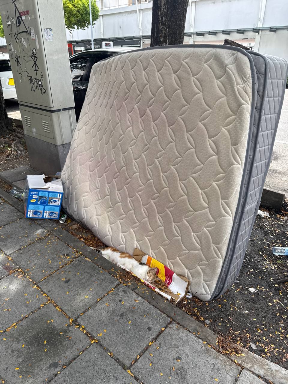 Dump