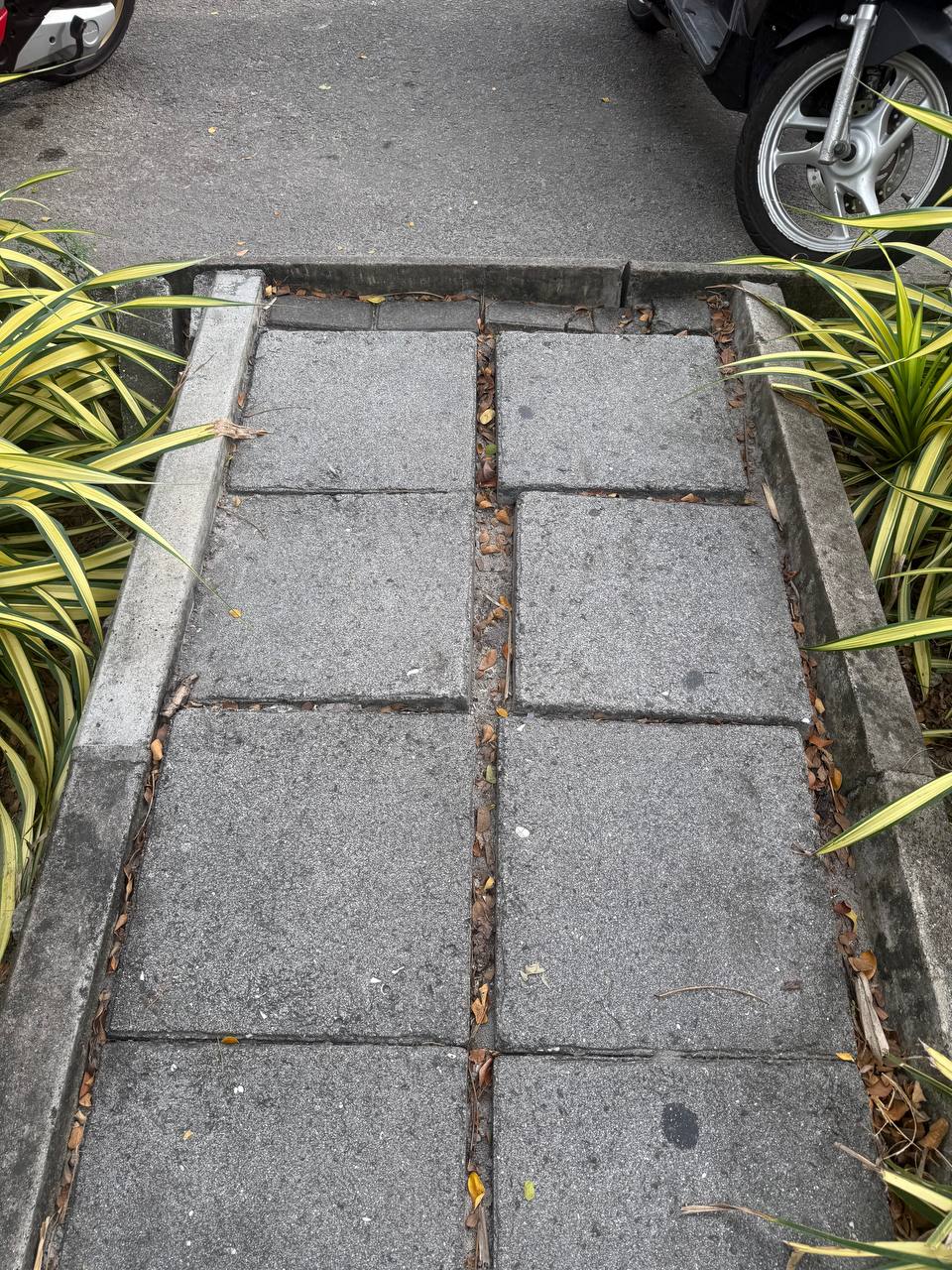Uneven sidewalks