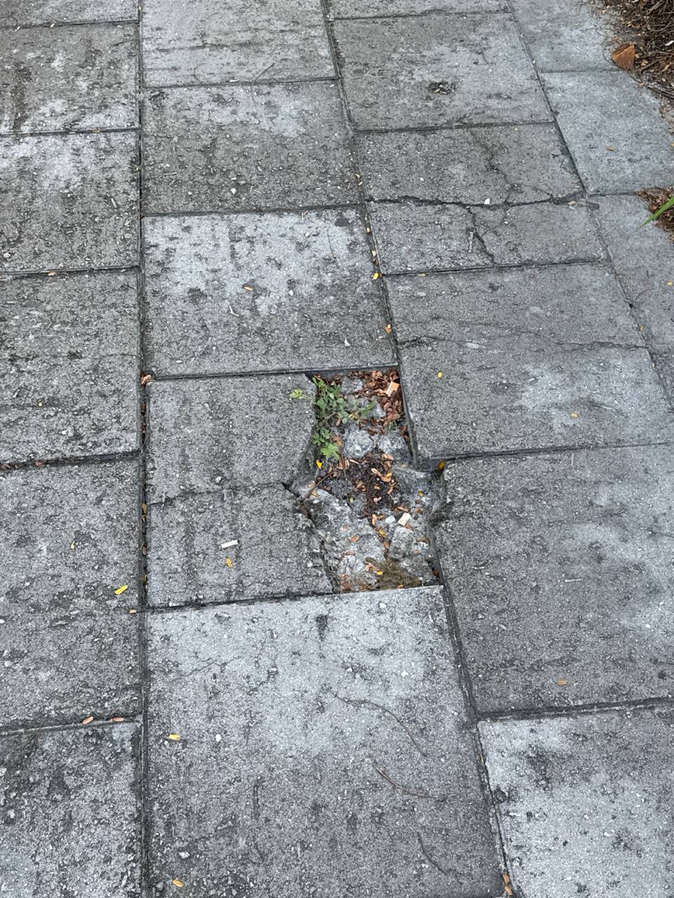 Uneven sidewalks